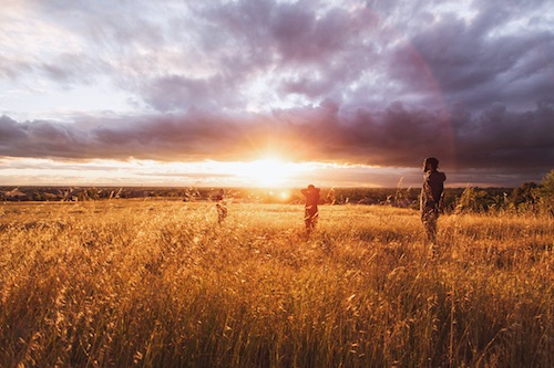 CIRCADIAN RHYTHMS  PLAY A ROLE IN LEARNING